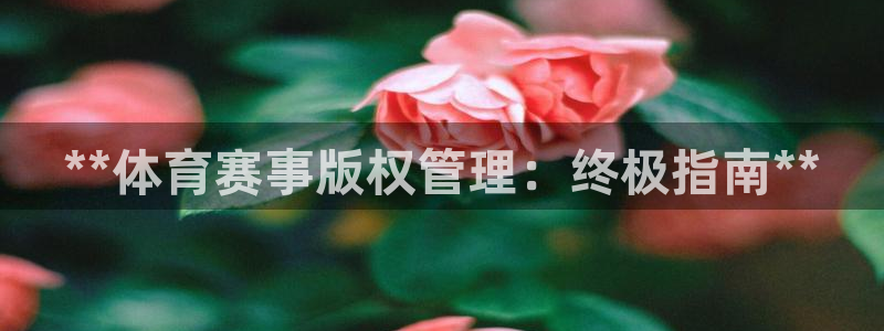 b体育必一下载：**