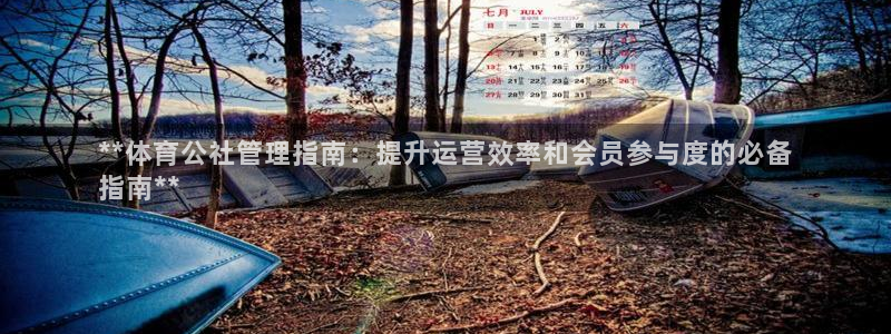 必十二和必一的副作用