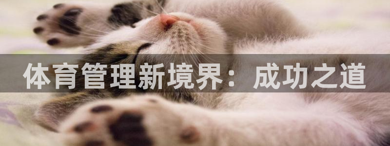 必一运动aop：体育