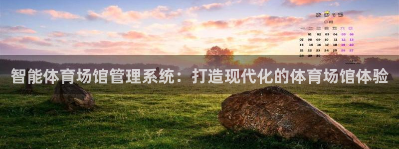 必一体育app平台下
