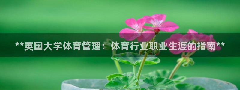 必一体育下载意思：*