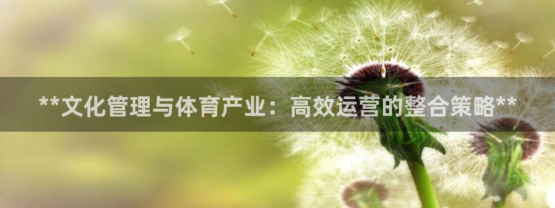 必一体育官网app：