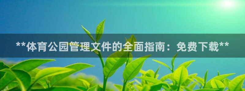 必一体育服下载最新版