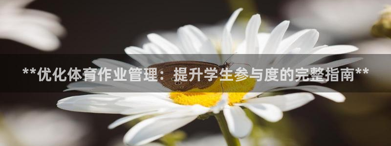 必一体育sport装