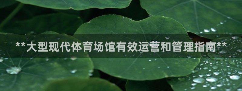 必一体育登录APP下