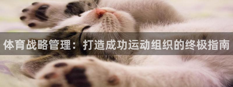 必一体育网页：体育战