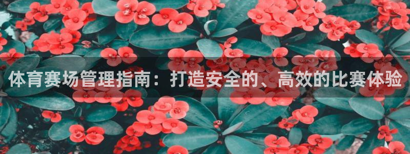 必一体育验证码：体育