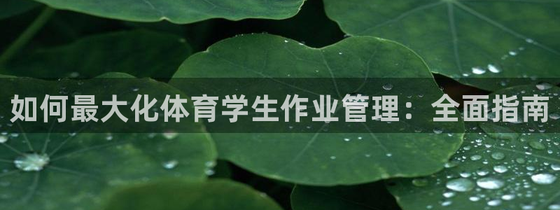 必一体育在线玩：如何