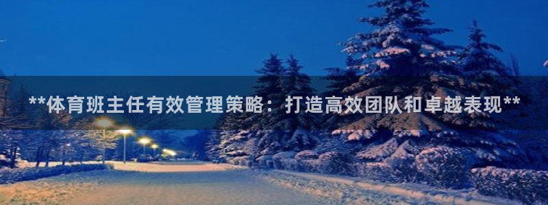必一体育官网网站：*
