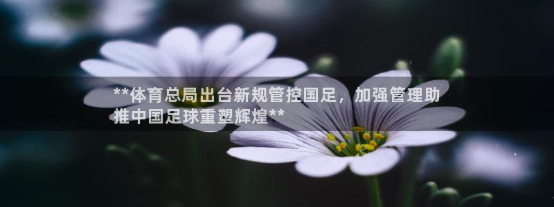 必一体育在线玩：**