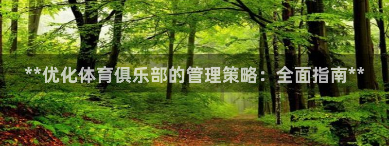 必一体育旧版：**优