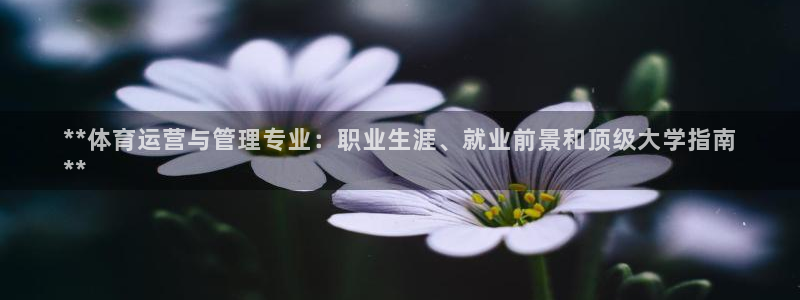 必一体育黑钱：**体
