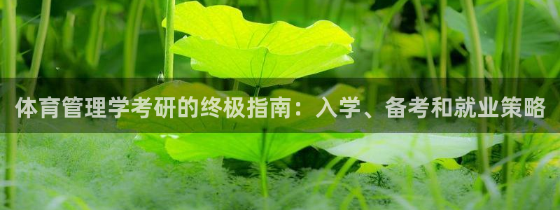 b体育官网下载入口a