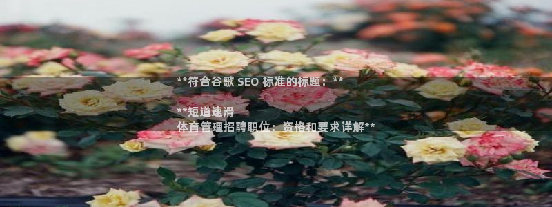 必一体育sport下