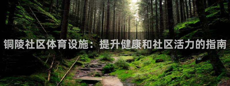 必一体育官方网站入口
