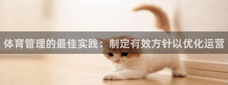 必一体育app官方网