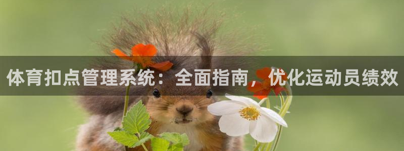 必一体育bsport