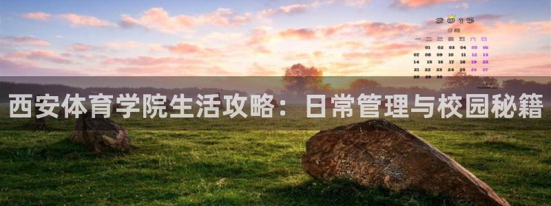 必一体育下载登入：西