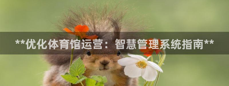 必一体育运动下载：*