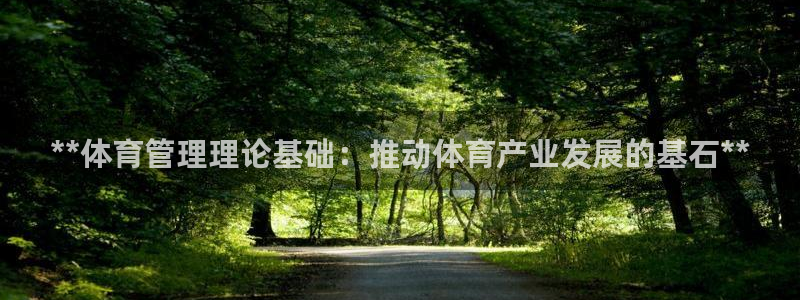 必一体育手机下载：*