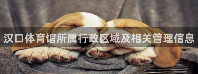 必一体育没了：汉口体