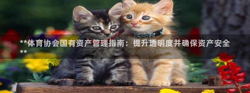 必一体育是啥：**体