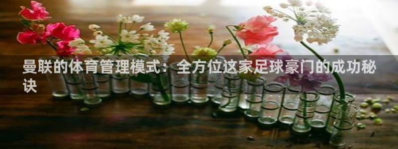 必一体育app下载：