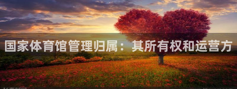 必一体育没了：国家体