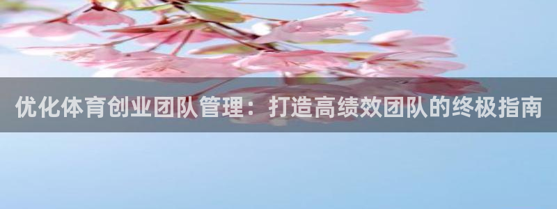 必一体育在哪下：优化