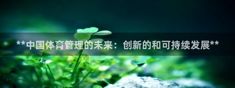必一体育游戏玩法：*