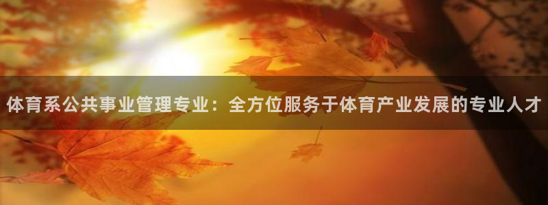 必一体育官方app下