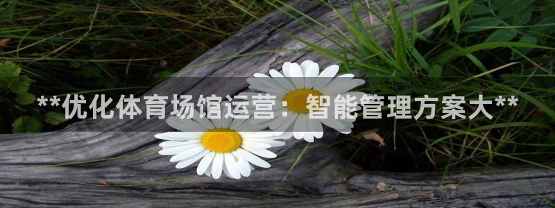 必一体育：**优化体