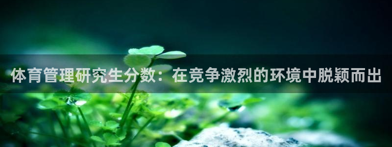 必一体育网页：体育管