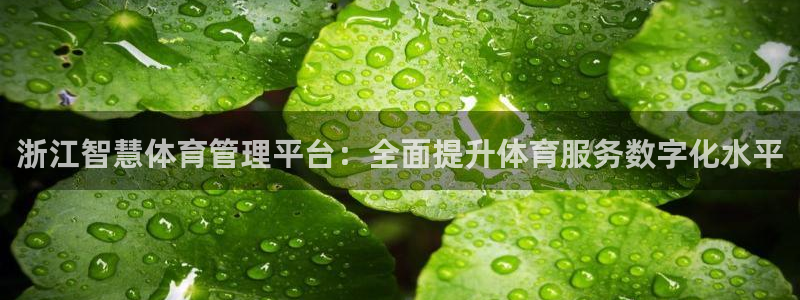 必一运动·(B-Sp