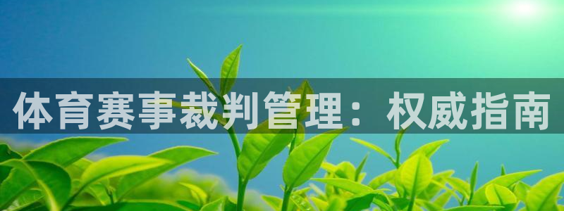 必一体育sport官