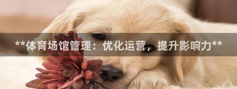 必一体育sport：