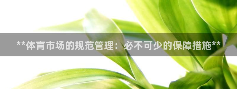 必一体育下载义：**
