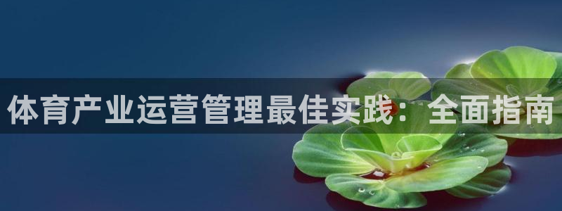必一体育网址：体育产