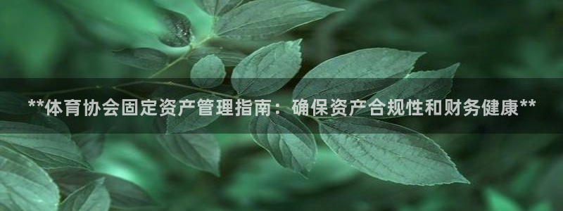 必一体育sportB