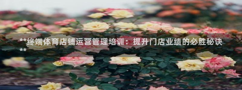 必一体育是啥：**终