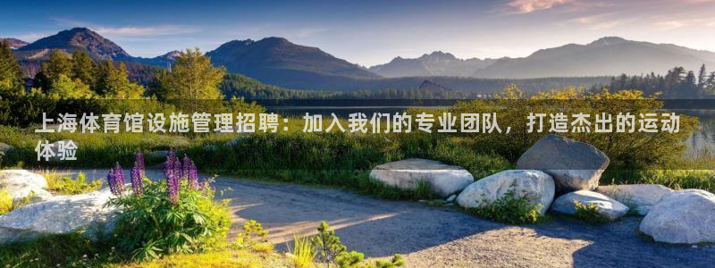 必一体育网页登录版官