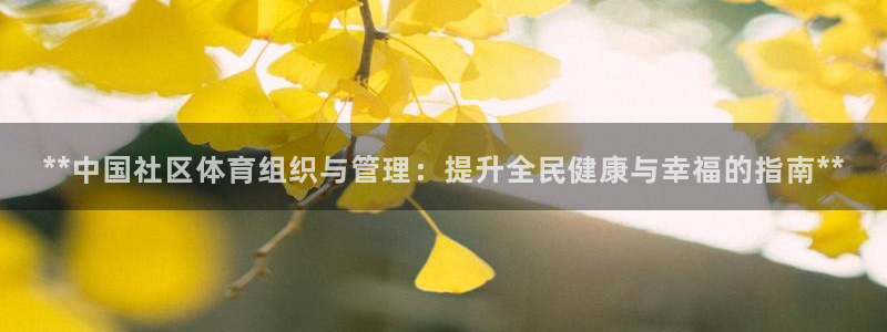 必一体育app官方网