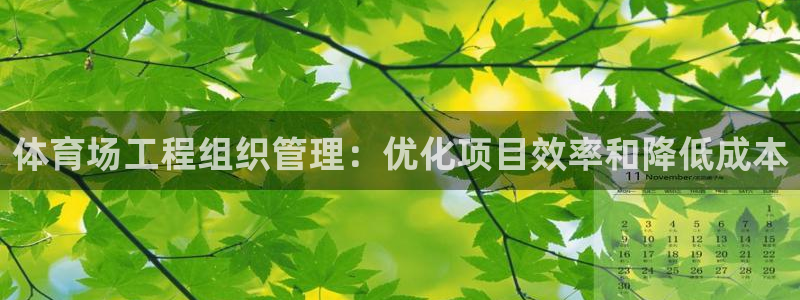 必一体育是哪里的台子