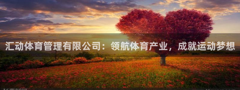 必一运动：汇动体育管