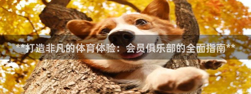 必一运动短信：**打