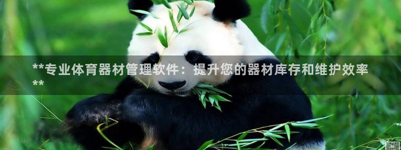 必一体育下载app：