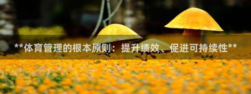 必一体育没了：**体