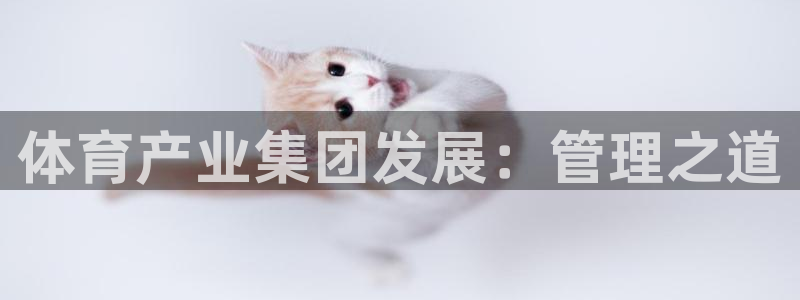 必一体育APP：体育