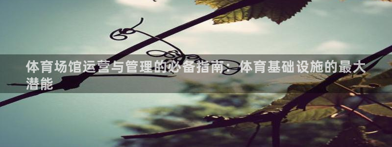 必一体育周公：体育场