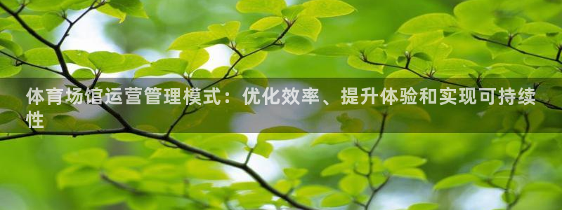 必一体育验证码：体育